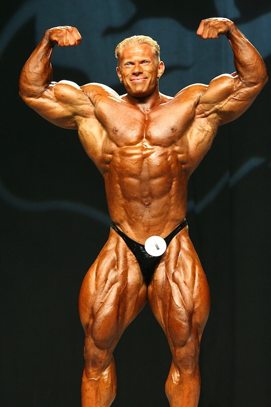 Деннис Вольф, Dennis Wolf на турнире Мистер Олимпия 2007
