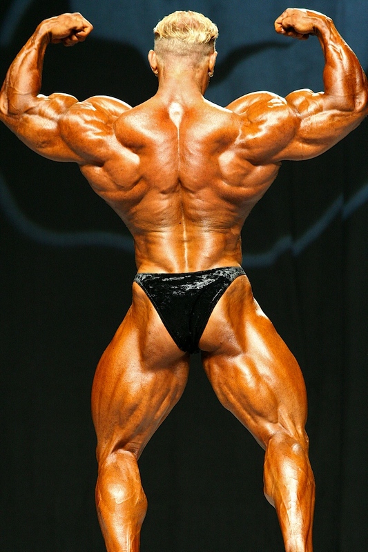 Деннис Вольф, Dennis Wolf на турнире Мистер Олимпия 2007
