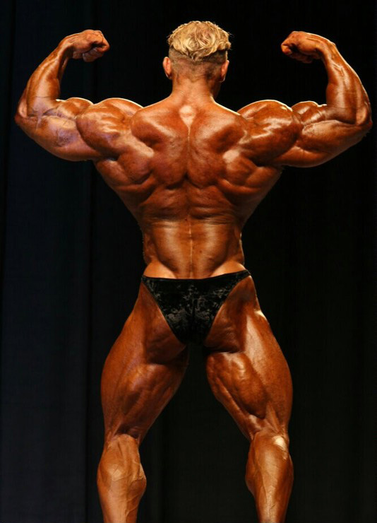 Деннис Вольф, Dennis Wolf на турнире Мистер Олимпия 2008