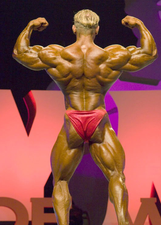 Деннис Вольф, Dennis Wolf на турнире Мистер Олимпия 2008