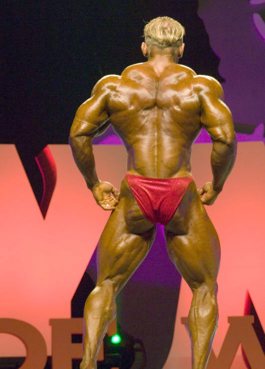 Деннис Вольф, Dennis Wolf на турнире Мистер Олимпия 2008