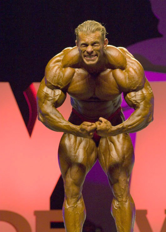 Деннис Вольф, Dennis Wolf на турнире Мистер Олимпия 2008