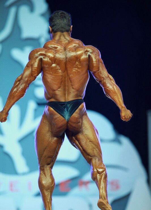 Эдуардо Корреа, Eduardo Correa на турнире Мистер Олимпия 2009