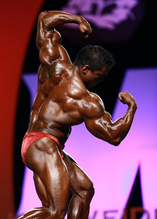 Стэн МакКуай, Stan McQuay на турнире Мистер Олимпия 2010