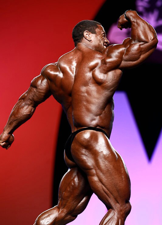 Ролли Винклаар, Roelly Winklaar на турнире Мистер Олимпия 2010