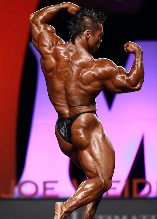 Хидетада Ямагиши, Hidetada Yamagishi на турнире Мистер Олимпия 2010