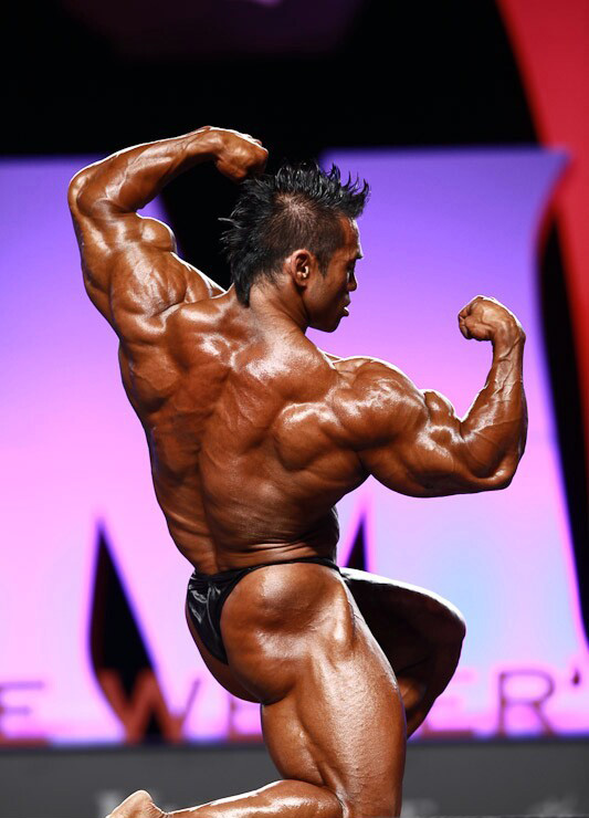 Хидетада Ямагиши, Hidetada Yamagishi на турнире Мистер Олимпия 2010