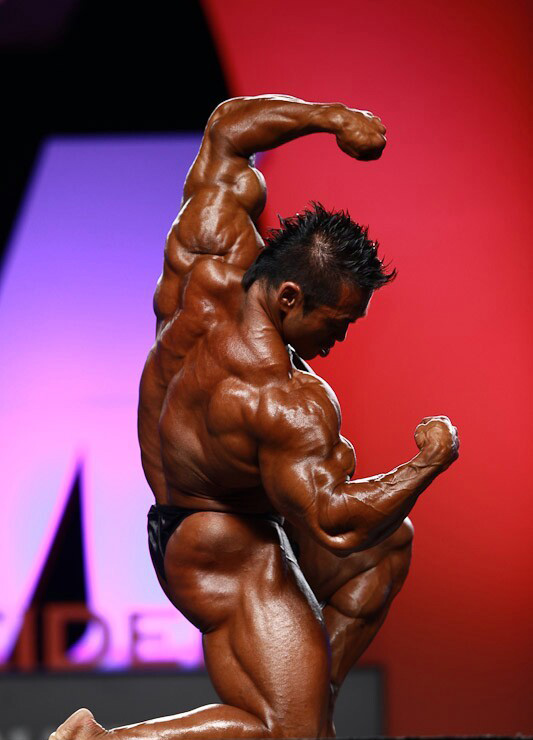 Хидетада Ямагиши, Hidetada Yamagishi на турнире Мистер Олимпия 2010