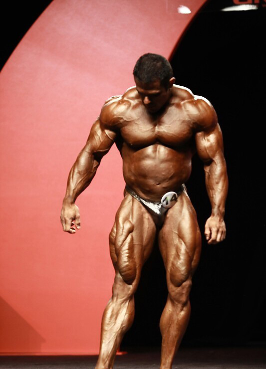 Серджио Пестана Рамос, Sergio Pestana Ramos на турнире Мистер Олимпия 2011
