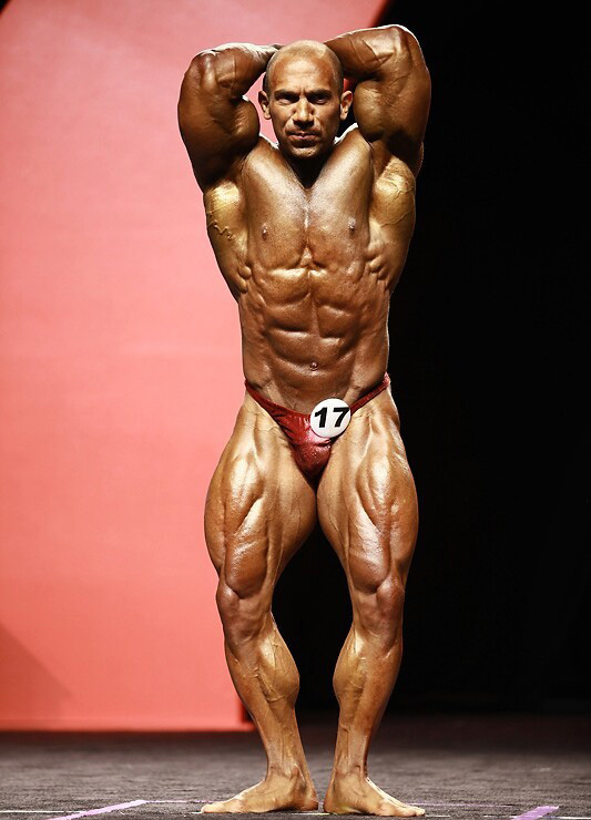 Амит Шапир, Amit Sapir на турнире Мистер Олимпия 2011