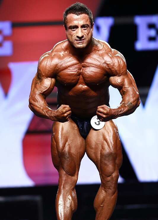 Пьер Чамоун, Pierre Chamoun на турнире Мистер Олимпия 2011