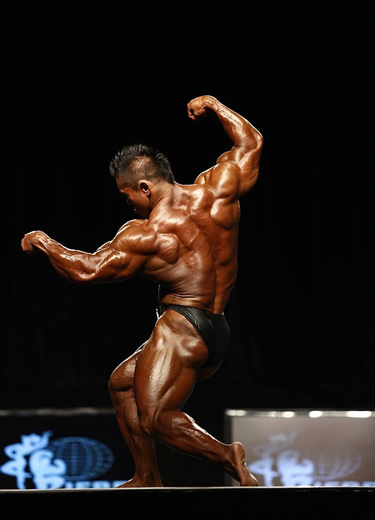 Хидетада Ямагиши, Hidetada Yamagishi на турнире Мистер Олимпия 2011