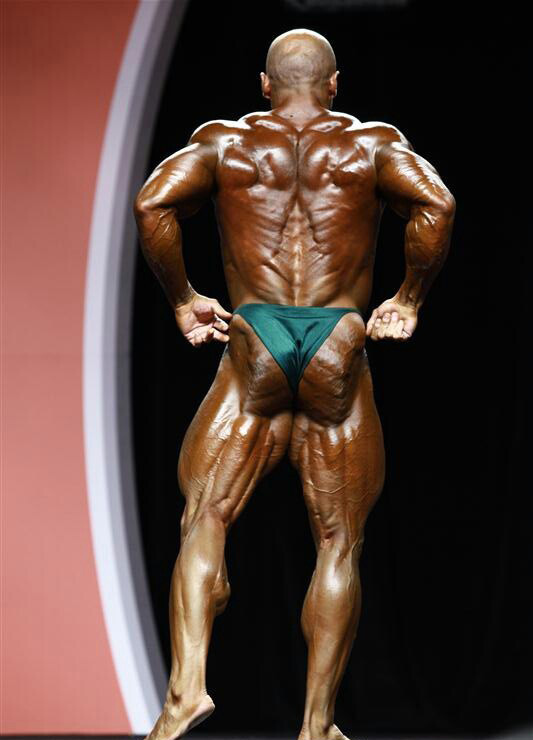 Лукаш Осладил, Lukas Osladil на турнире Мистер Олимпия 2012