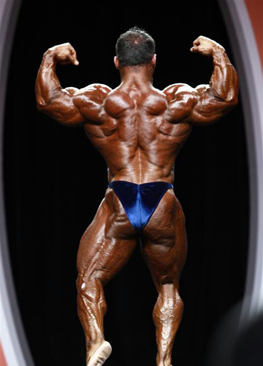 Хосе Реймонд, Jose Raymond на турнире Мистер Олимпия 2012