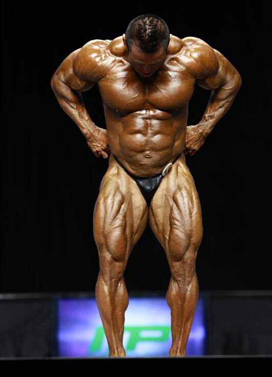 Хидетада Ямагиши, Hidetada Yamagishi на турнире Мистер Олимпия 2012