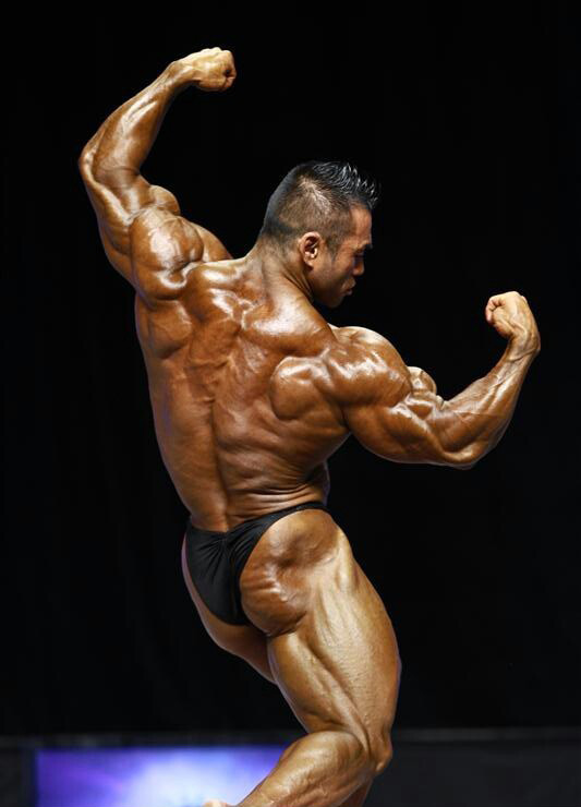 Хидетада Ямагиши, Hidetada Yamagishi на турнире Мистер Олимпия 2012