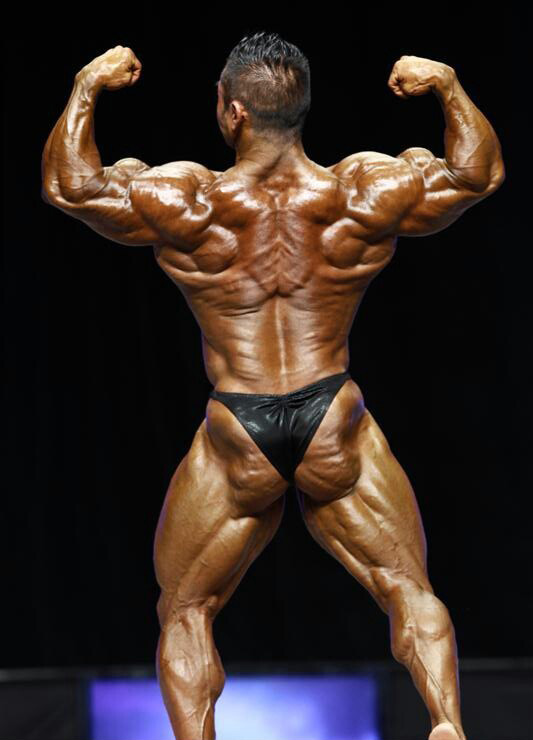Хидетада Ямагиши, Hidetada Yamagishi на турнире Мистер Олимпия 2012