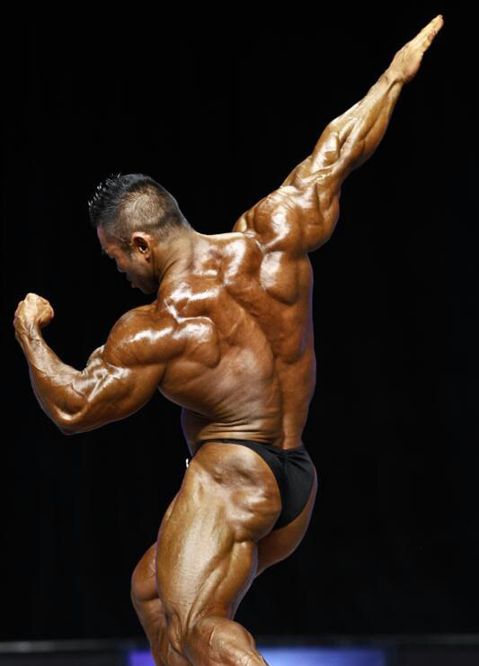 Хидетада Ямагиши, Hidetada Yamagishi на турнире Мистер Олимпия 2012