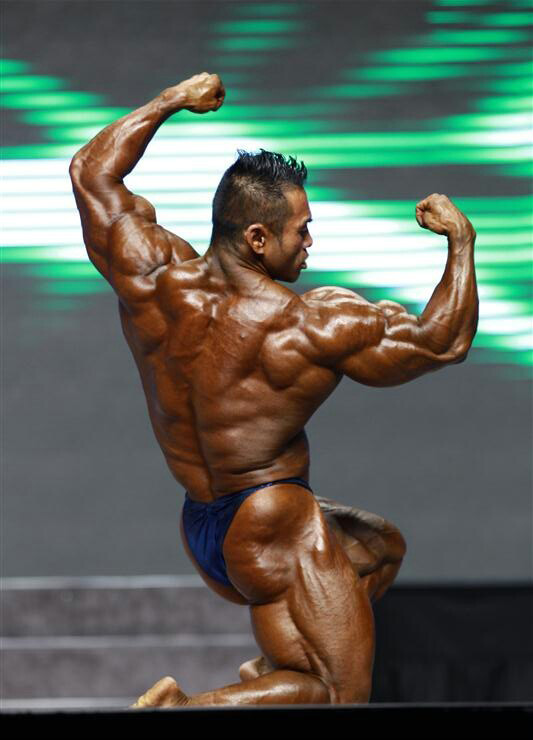 Хидетада Ямагиши, Hidetada Yamagishi на турнире Мистер Олимпия 2012