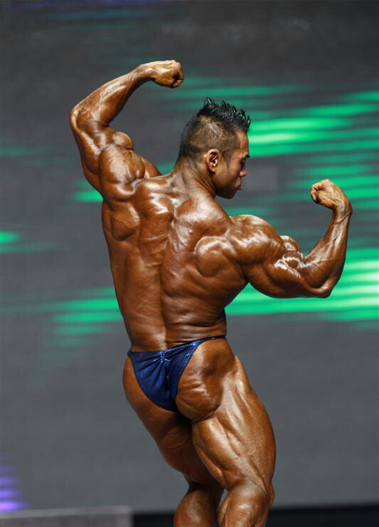 Хидетада Ямагиши, Hidetada Yamagishi на турнире Мистер Олимпия 2012
