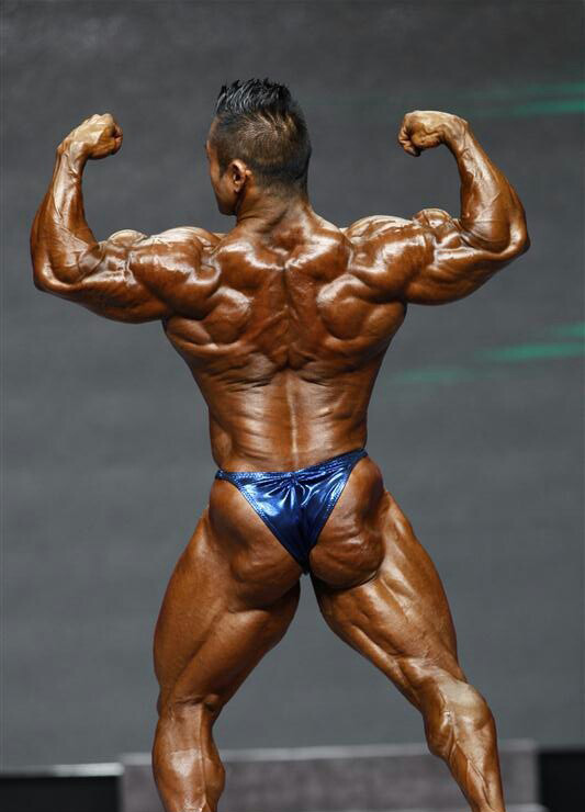 Хидетада Ямагиши, Hidetada Yamagishi на турнире Мистер Олимпия 2012