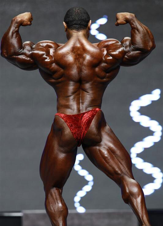 Ролли Винклаар, Roelly Winklaar на турнире Мистер Олимпия 2012