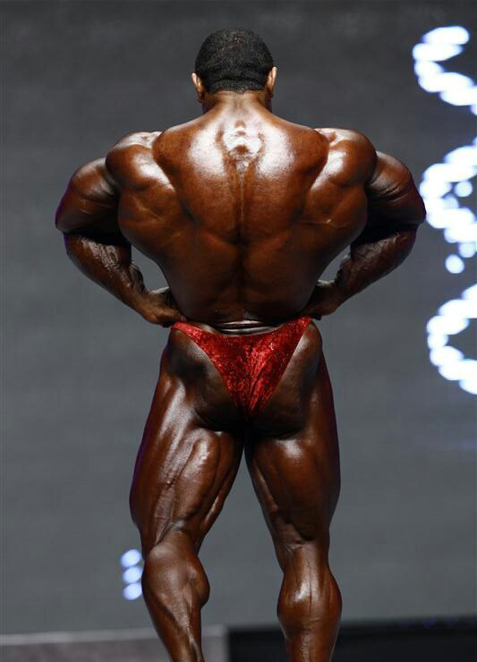 Ролли Винклаар, Roelly Winklaar на турнире Мистер Олимпия 2012