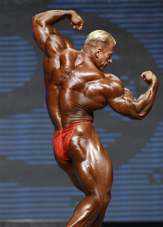 Деннис Вольф, Dennis Wolf на турнире Мистер Олимпия 2012