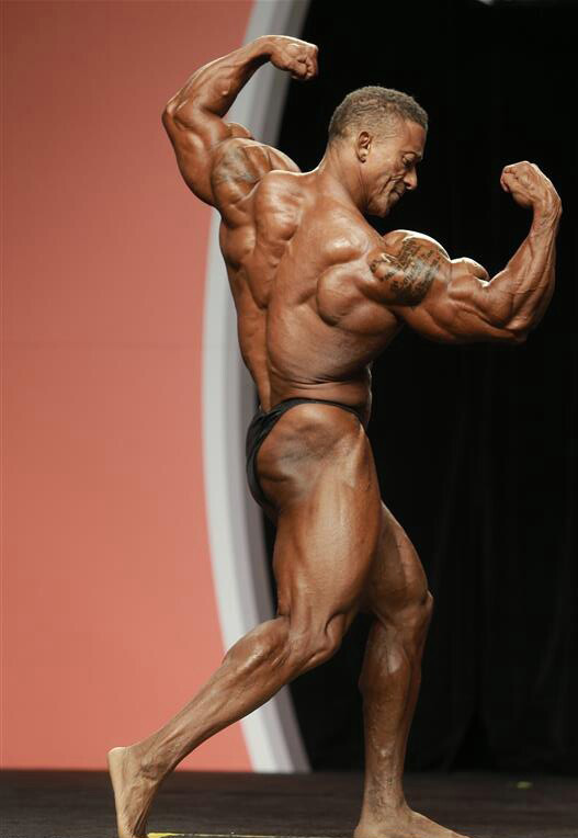 Трой Элвис, Troy Alves на турнире Мистер Олимпия 2013