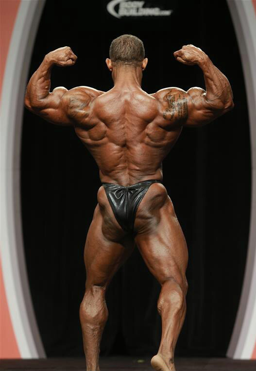 Трой Элвис, Troy Alves на турнире Мистер Олимпия 2013