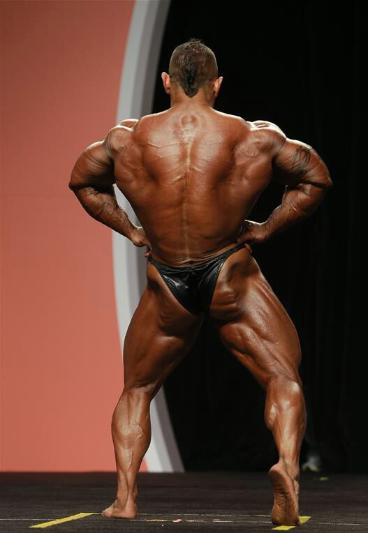 Мистер Олимпия 2013, Mister Olympia, 28 сентября 2013, Лас-Вегас, США
