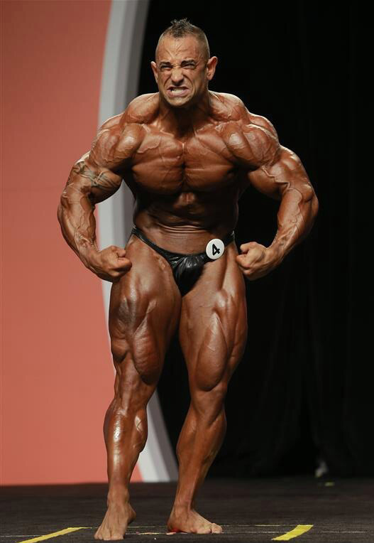 Гай Цистерино, Guy Cisternino на турнире Мистер Олимпия 2013