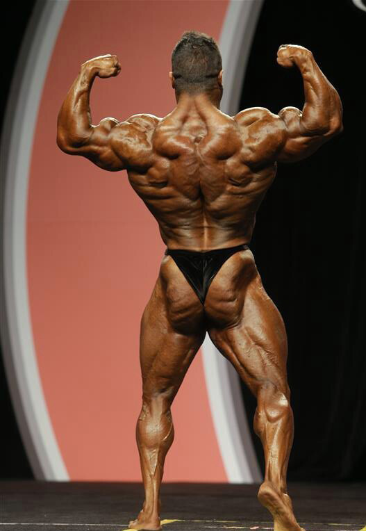 Мистер Олимпия 2013, Mister Olympia, 28 сентября 2013, Лас-Вегас, США