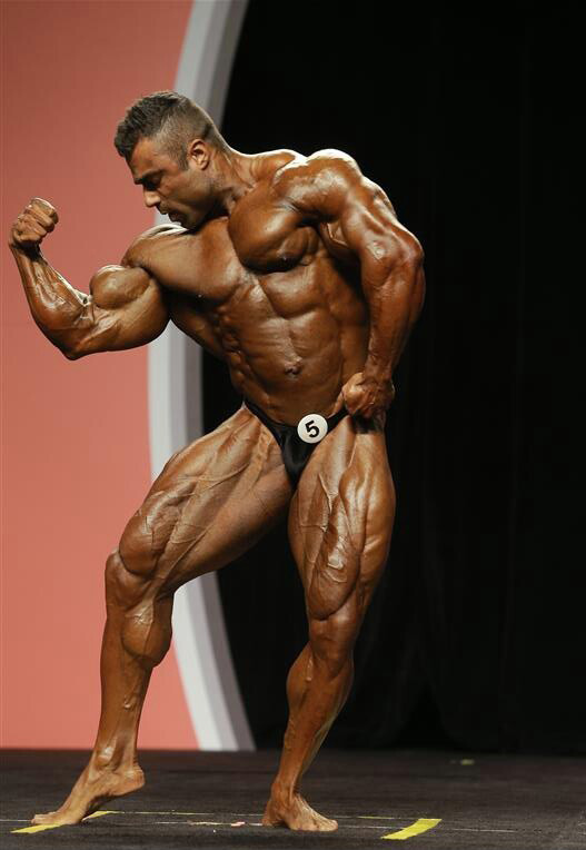 Мистер Олимпия 2013, Mister Olympia, 28 сентября 2013, Лас-Вегас, США