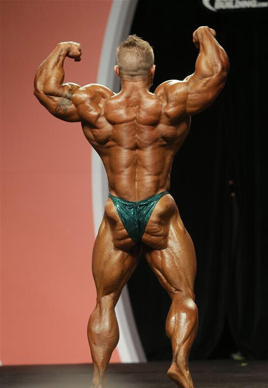 Джеймс Флекс Льюис, James Flex Lewis на турнире Мистер Олимпия 2013