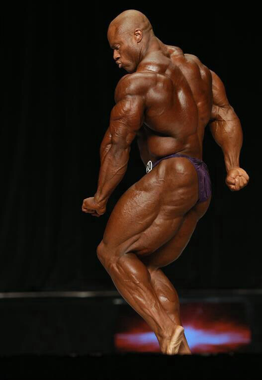 Мистер Олимпия 2013, Mister Olympia, 28 сентября 2013, Лас-Вегас, США