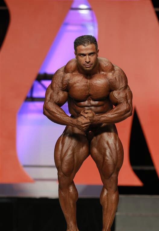 Байтоллах Аббаспур, Baitollah Abbaspour на турнире Мистер Олимпия 2013