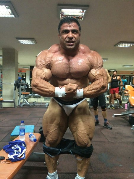 Байтоллах Аббаспур, Baitollah Abbaspour на турнире Мистер Олимпия 2014