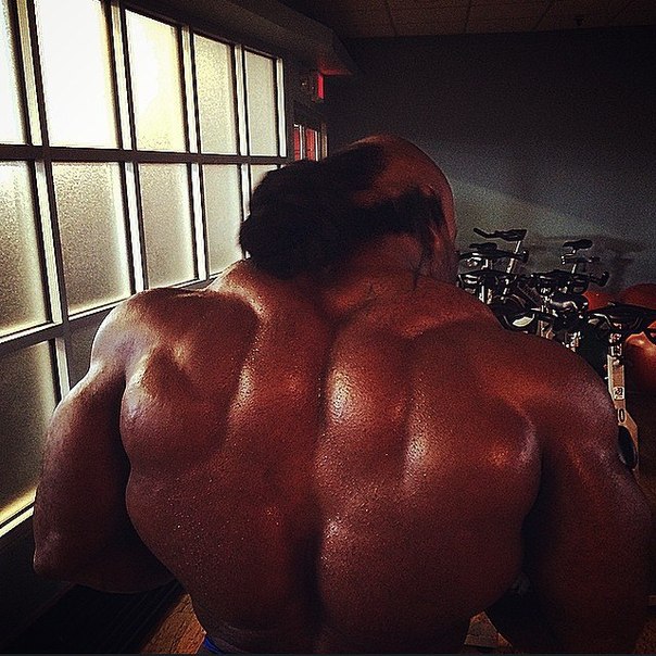 Мистер Олимпия 2014, Mister Olympia, 20 сентября 2014, Лас-Вегас, США
