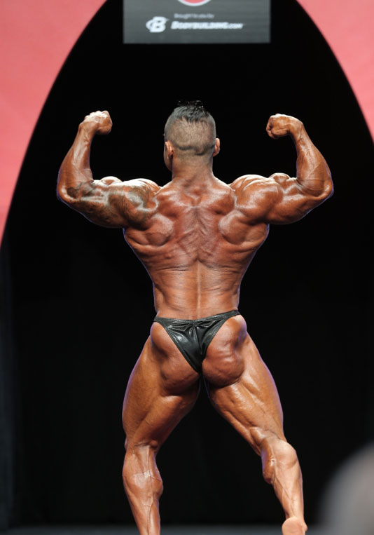 Хидетада Ямагиши, Hidetada Yamagishi на турнире Мистер Олимпия 2014