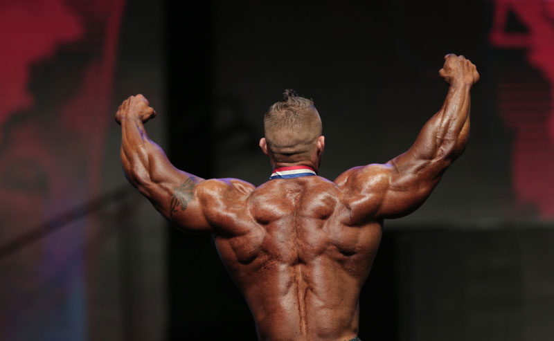 Джеймс Флекс Льюис, James Flex Lewis на турнире Мистер Олимпия 2014