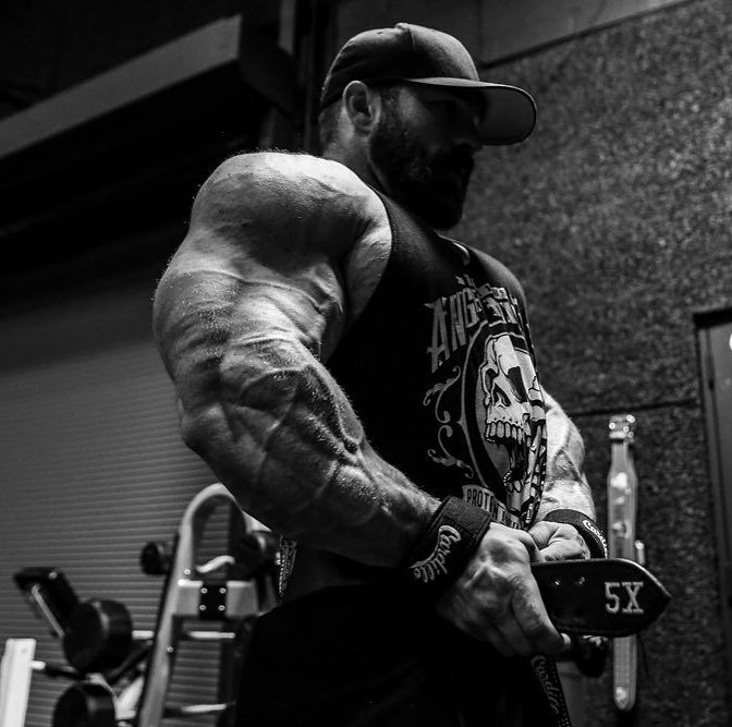 Джеймс Флекс Льюис, James Flex Lewis на турнире Мистер Олимпия 2017