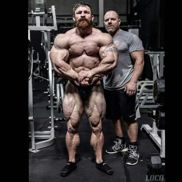 Джеймс Флекс Льюис, James Flex Lewis на турнире Мистер Олимпия 2017