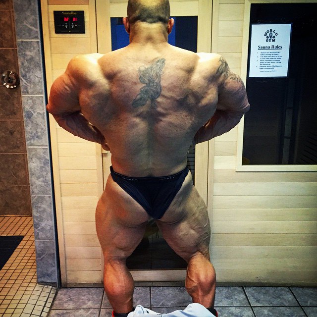 Фуад Абиад, Fouad Abiad на турнире Мистер Олимпия 2015