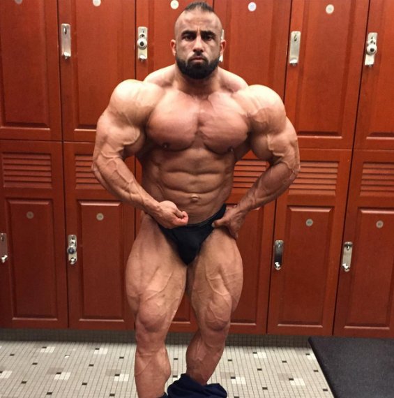 Фуад Абиад, Fouad Abiad на турнире Мистер Олимпия 2015
