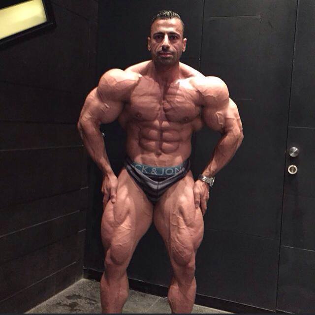 Ахмад Ахмад, Ahmad Ahmad на турнире Мистер Олимпия 2015