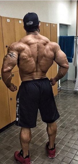 Абделазиз Джеллали, Abdelaziz Jellali на турнире Мистер Олимпия 2015