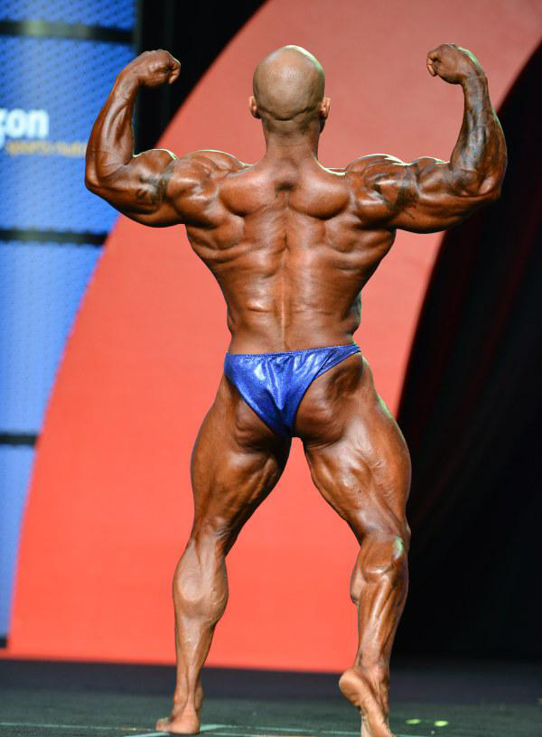 Марко Ривера, Marco Rivera на турнире Мистер Олимпия 2015