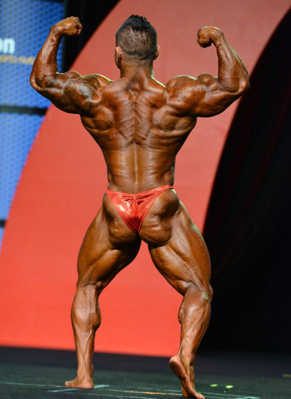 Хидетада Ямагиши, Hidetada Yamagishi на турнире Мистер Олимпия 2015