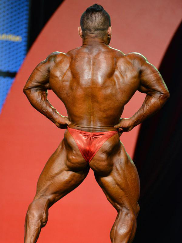 Хидетада Ямагиши, Hidetada Yamagishi на турнире Мистер Олимпия 2015